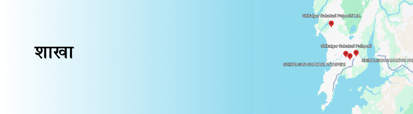 Branches Cover Image